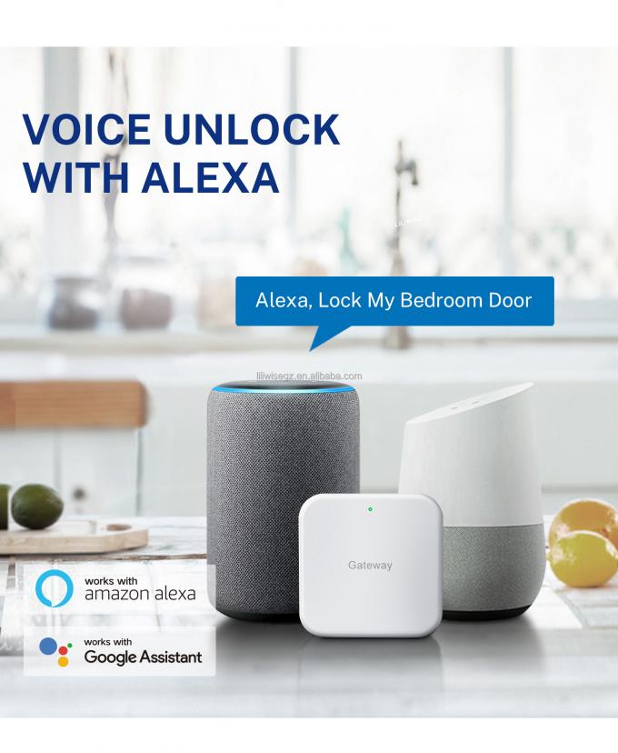 Tuya WiFi BLE Smart Door Lock với dấu v&acirc;n tay v&agrave; b&agrave;n ph&iacute;m 4