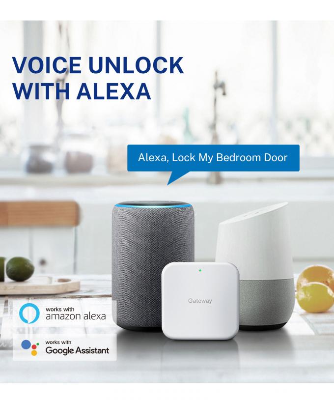 Liliwise Thiết kế mới Kh&oacute;a ho&agrave;n to&agrave;n tự động Kh&oacute;a dấu v&acirc;n tay điện tử kỹ thuật số Kh&oacute;a APP TTlock Kh&oacute;a cửa th&ocirc;ng minh 24