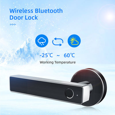 Khóa an toàn Không dây Bluetooth Điều khiển từ xa WiFi Dấu vân tay Tay nắm cửa điện tử Khóa đòn bẩy