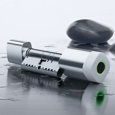 Liliwise Dấu vân tay RFID Thẻ Khóa cửa chống nước Định hướng WiFi BLE Tuya Ttlock Khóa xi lanh thông minh để thay thế máy móc cũ