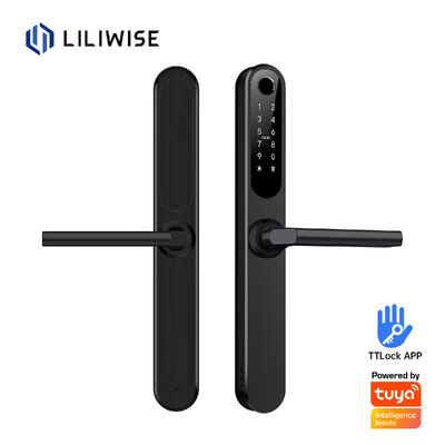 Liliwise chống nước Alexa nhôm thép Ip66 khóa cửa thông minh vân tay Cerradura Electronica Ttlock khóa thông minh với Wifi